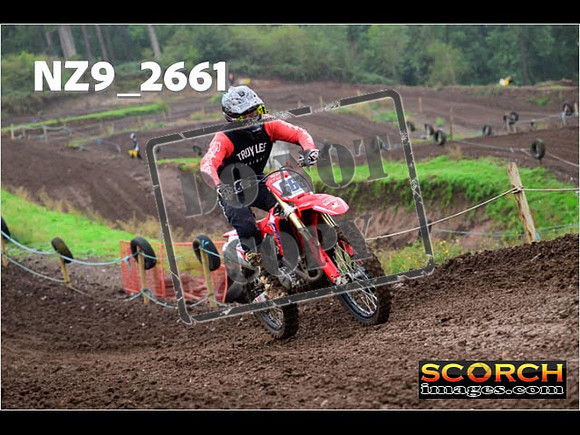 Experts-135