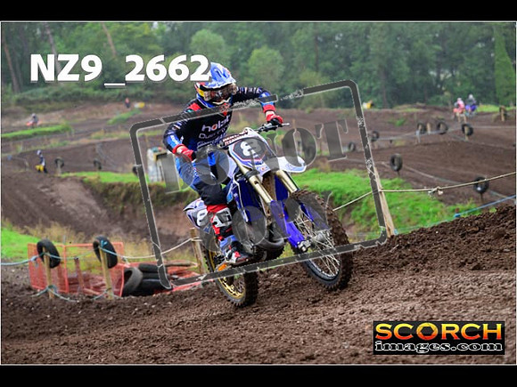 Experts-136