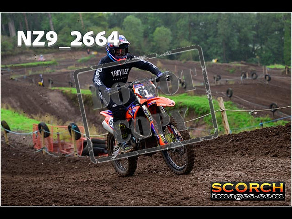 Experts-138