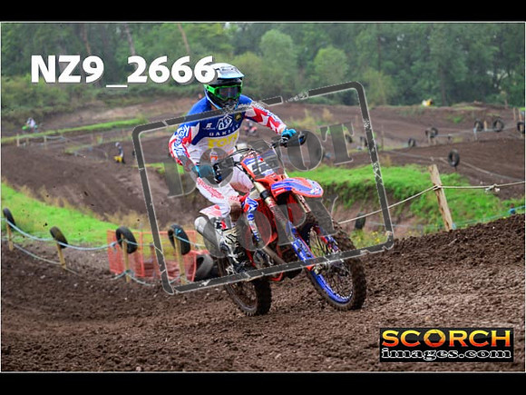 Experts-140