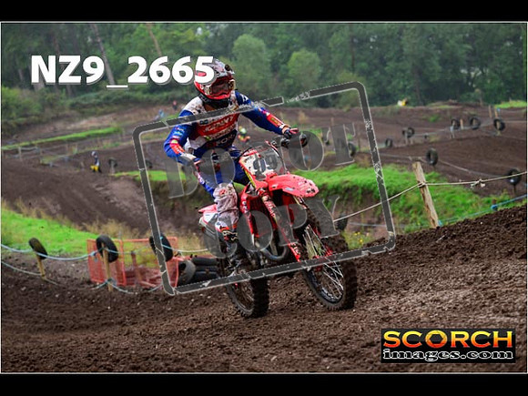 Experts-139