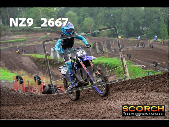 Experts-141