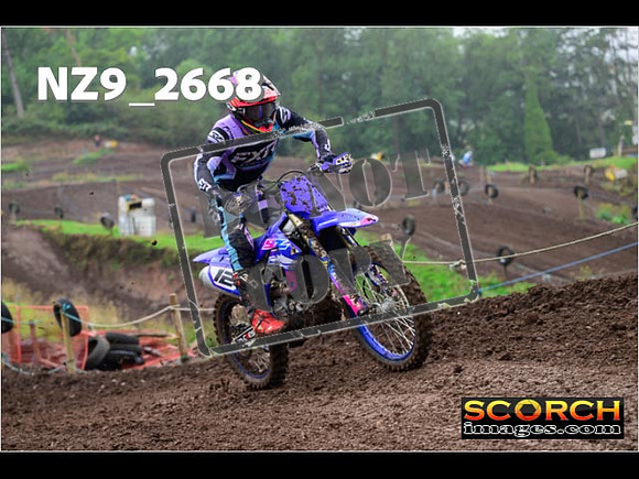 Experts-142