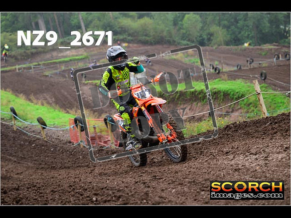 Experts-145