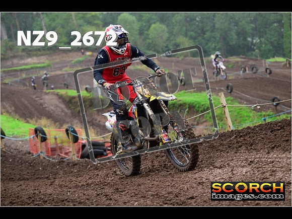 Experts-146