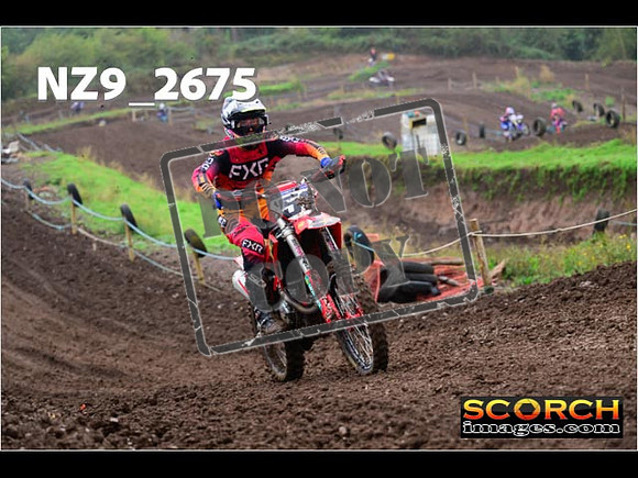 Experts-149