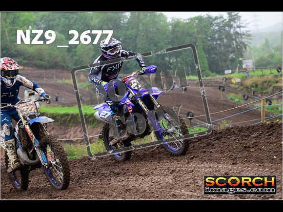 Experts-151