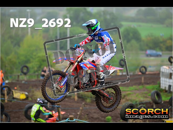 Experts-166