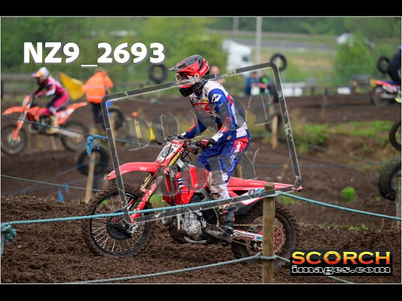 Experts-167