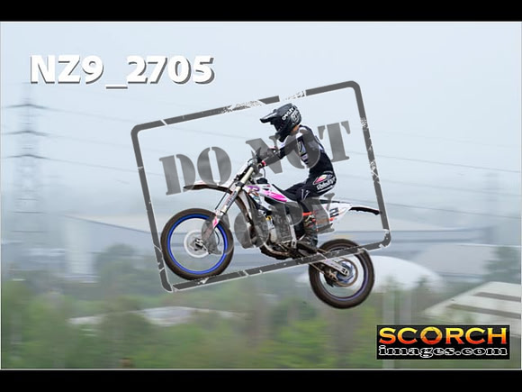 Experts-173
