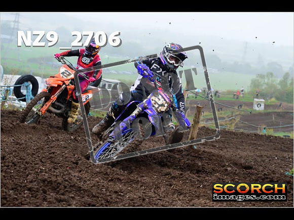 Experts-174