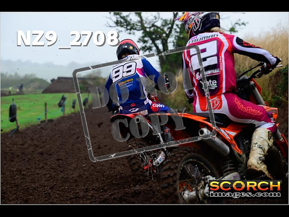 Experts-175