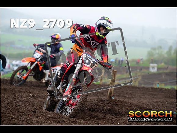 Experts-176