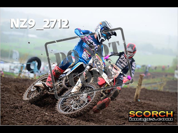 Experts-179