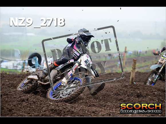 Experts-184