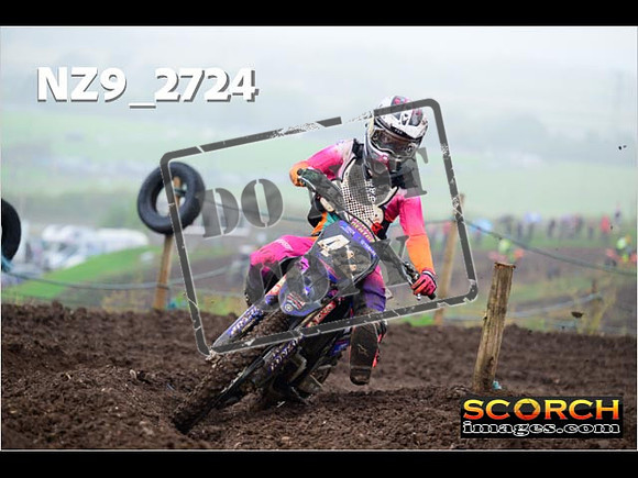 Experts-190