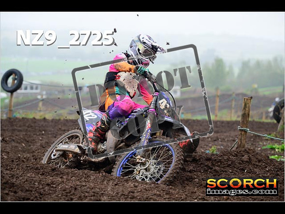 Experts-191