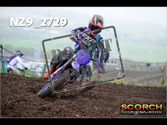 Experts-195