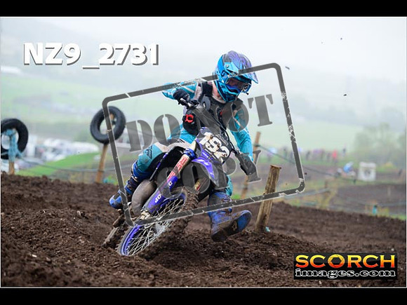Experts-197