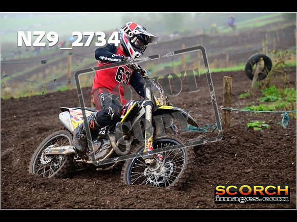Experts-200