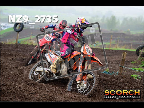 Experts-201