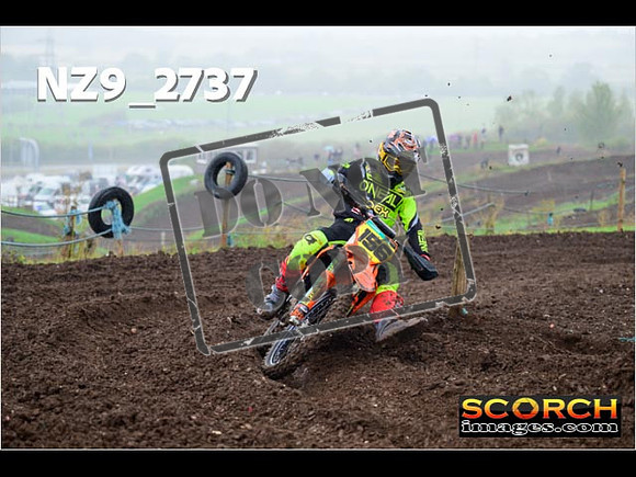 Experts-203