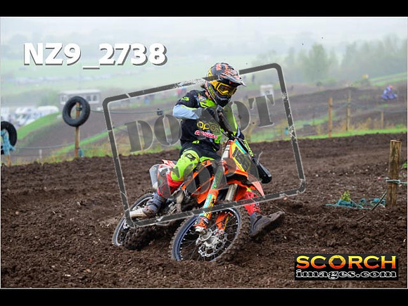 Experts-204