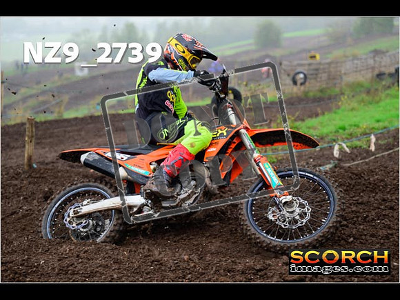 Experts-205