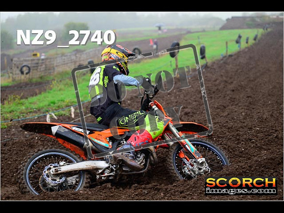 Experts-206