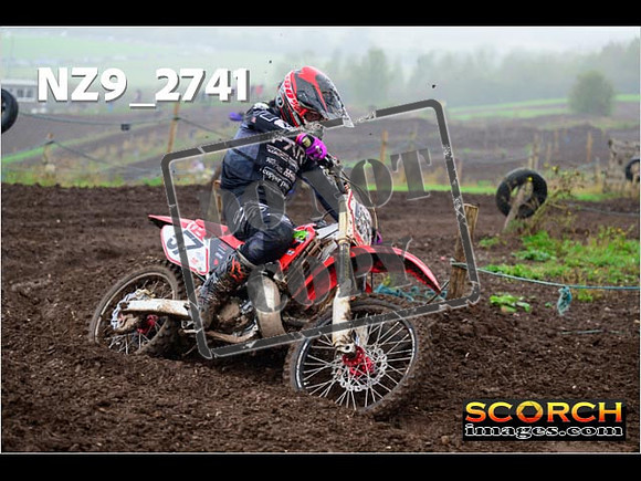 Experts-207