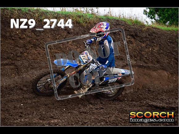 Experts-210