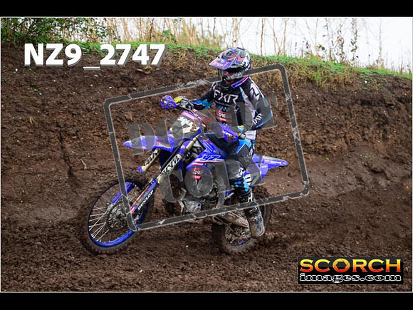 Experts-213