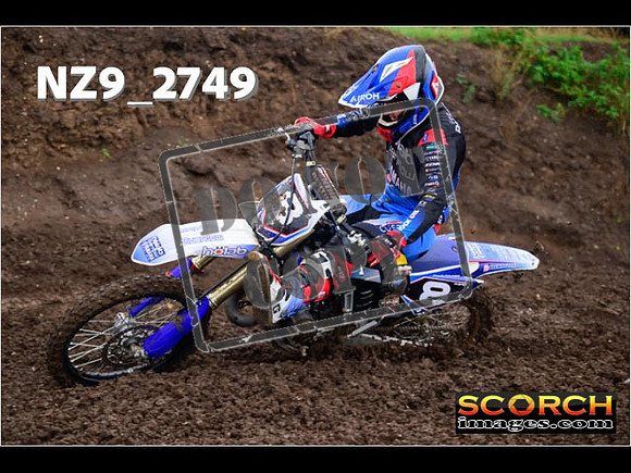 Experts-215