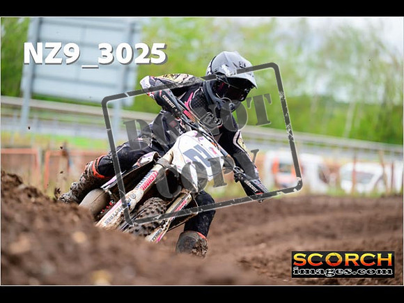Experts-216