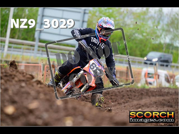 Experts-219