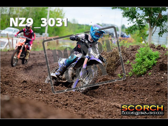 Experts-221