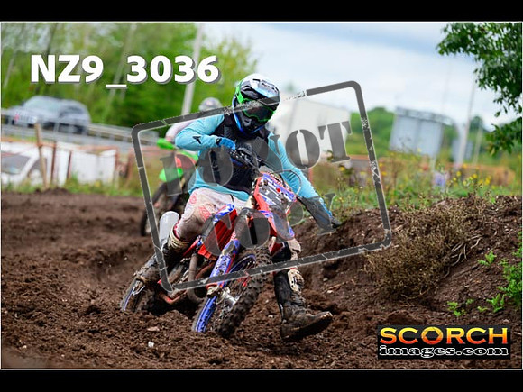 Experts-226