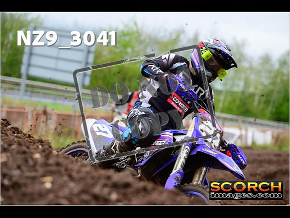 Experts-231