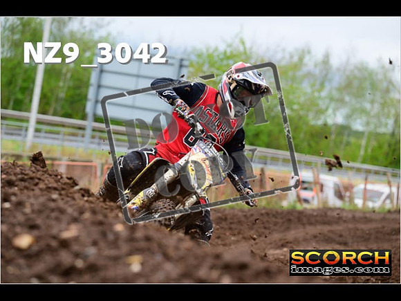Experts-232