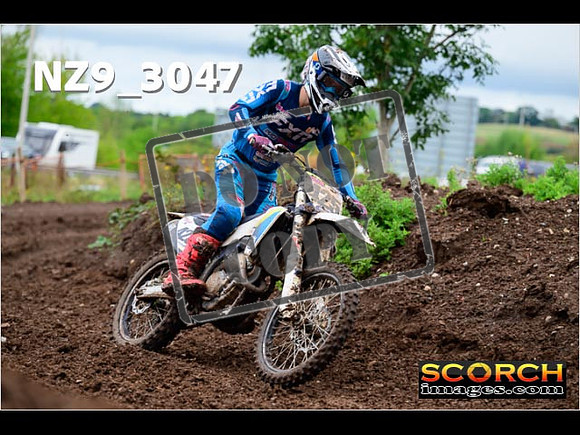 Experts-237