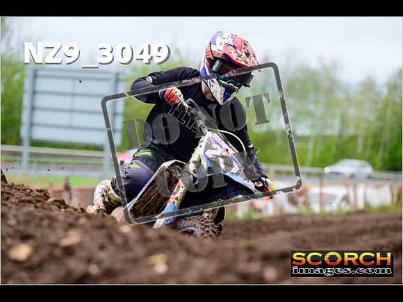 Experts-239