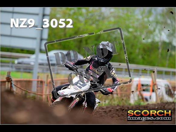 Experts-241