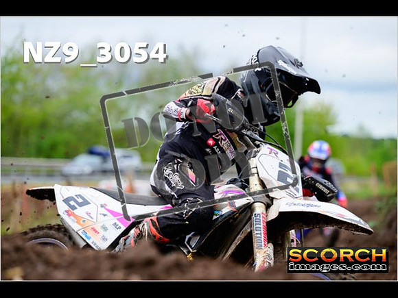 Experts-243