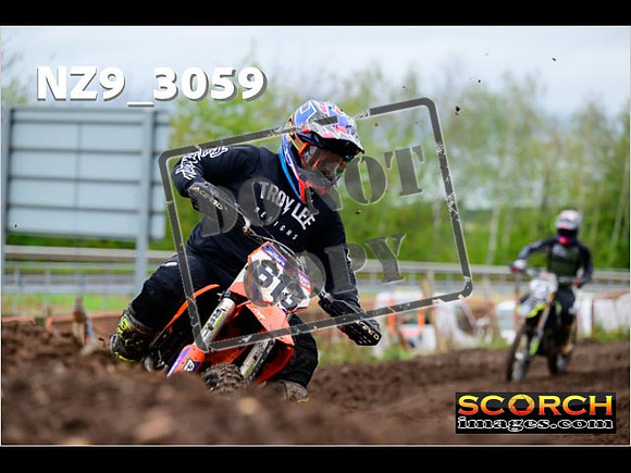 Experts-246