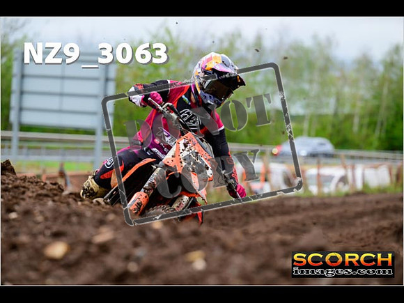 Experts-250