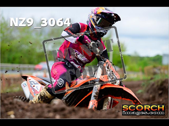 Experts-251