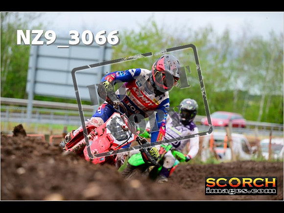 Experts-253