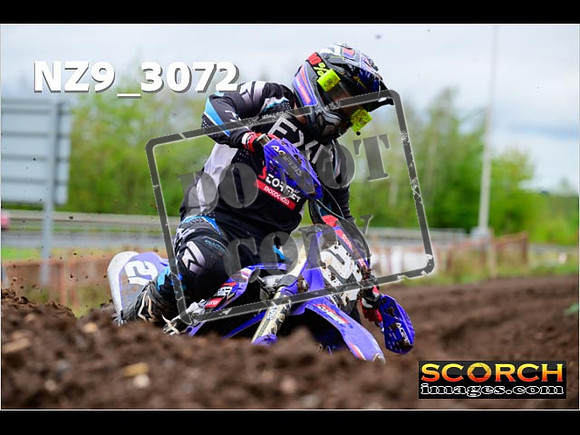 Experts-259