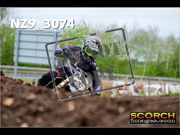 Experts-261