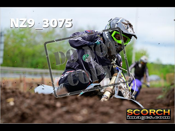 Experts-262